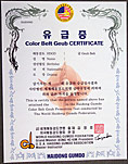 Color Belt Certificate